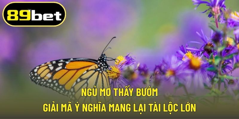 Ngủ mơ thấy bướm