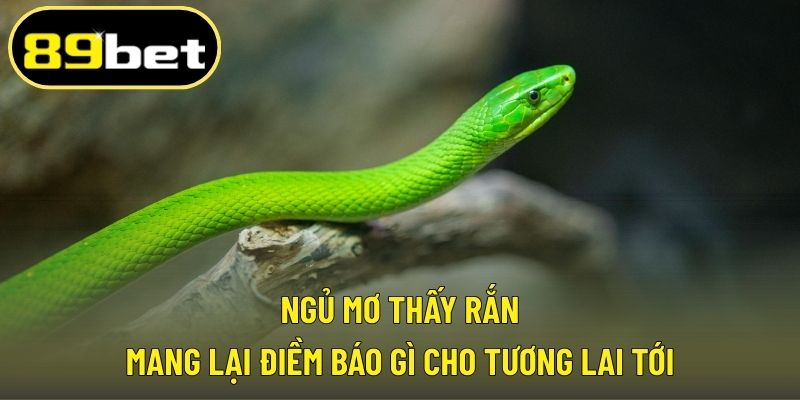 Ngủ mơ thấy rắn