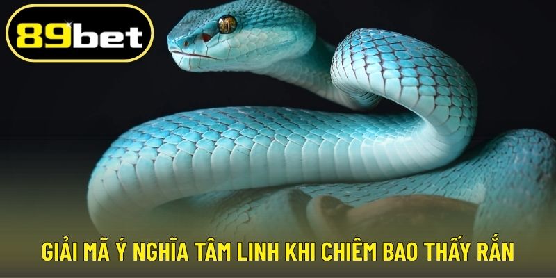 Giải mã ý nghĩa tâm linh khi chiêm bao thấy rắn