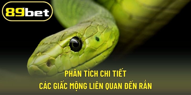 Phân tích chi tiết các giấc mộng liên quan đến rắn