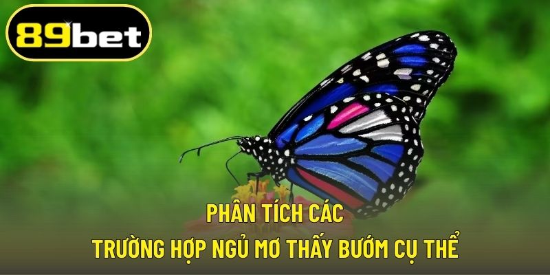 Phân tích các trường hợp ngủ mơ thấy bướm cụ thể