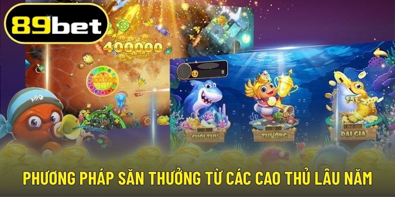 Phương pháp săn thưởng từ các cao thủ lâu năm