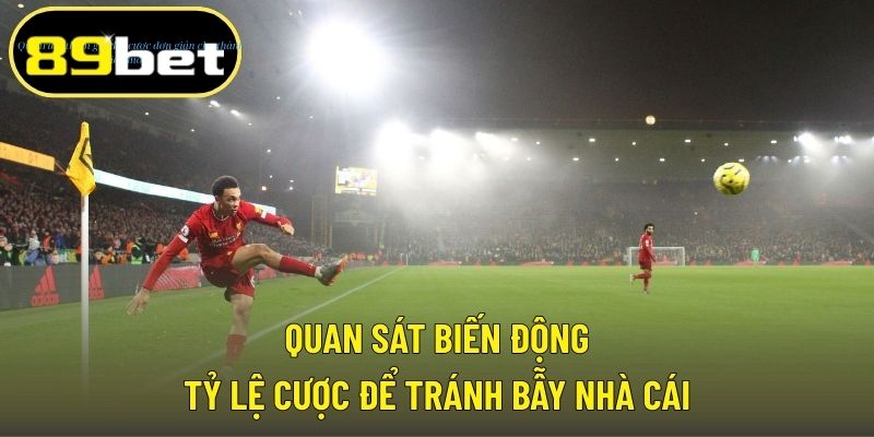 Quan sát biến động tỷ lệ cược để tránh bẫy nhà cái