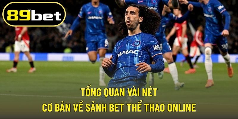 Tổng quan vài nét cơ bản về sảnh bet thể thao online