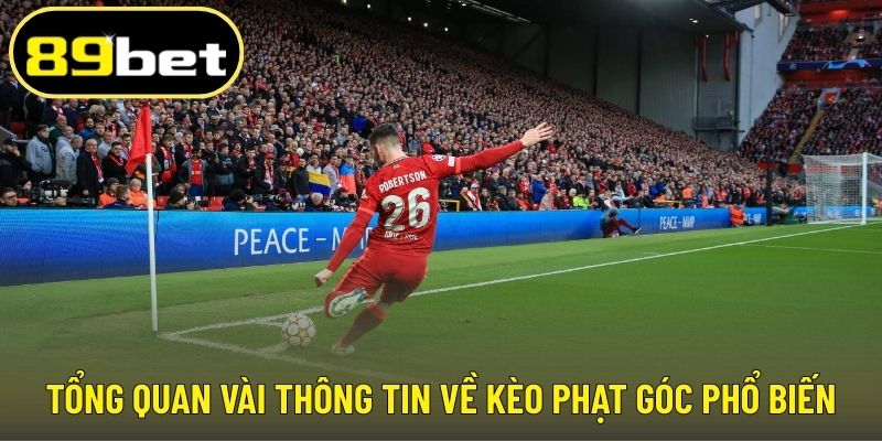 Tổng quan vài thông tin về kèo phạt góc phổ biến